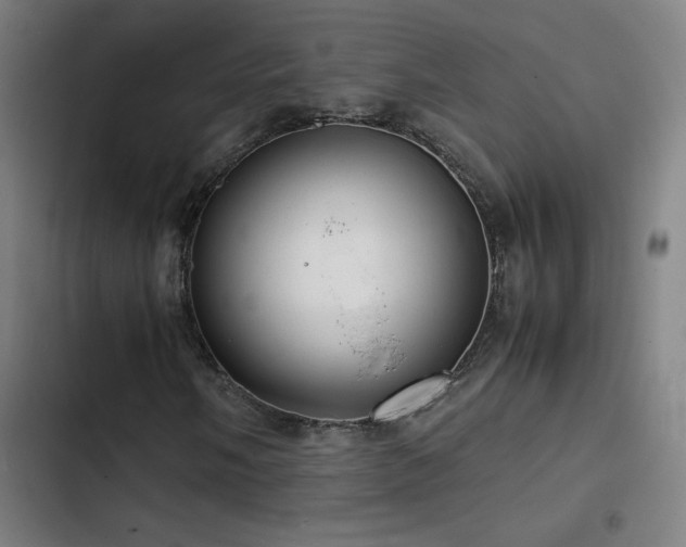 X0000103411058200809121300