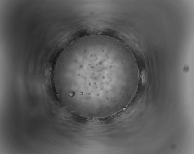 X0000103411059200809121300