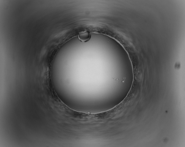 X0000103411061200809121300