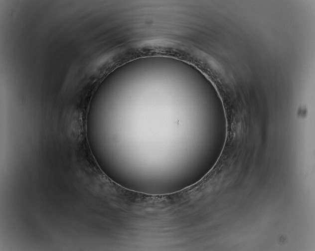 X0000103411062200809121300