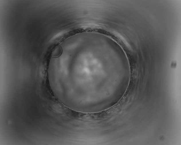 X0000103411063200809121300