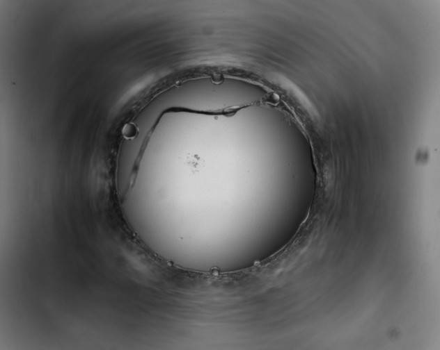 X0000103411064200809121300