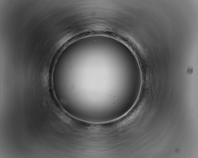 X0000103411065200809121300
