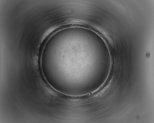 X0000103411066200809121300