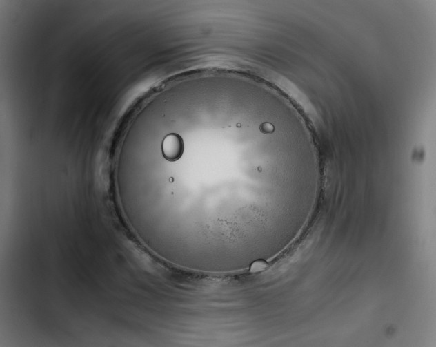 X0000103411067200809121300