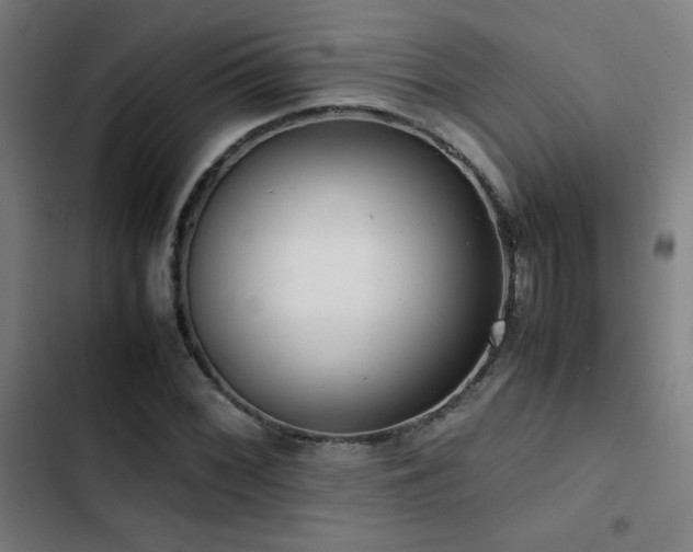 X0000103411068200809121300