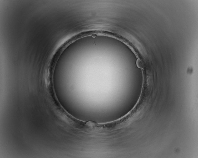 X0000103411069200809121300