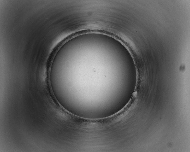 X0000103411070200809121300