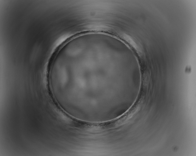 X0000103411071200809121300