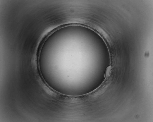 X0000103411072200809121300