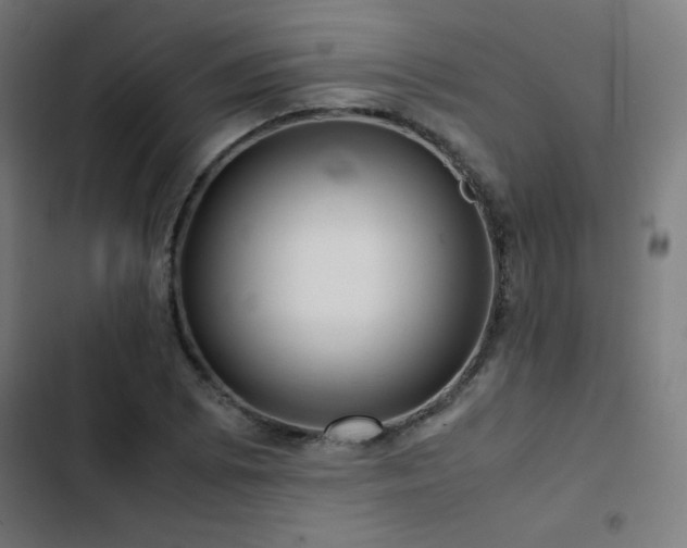 X0000103411073200809121300