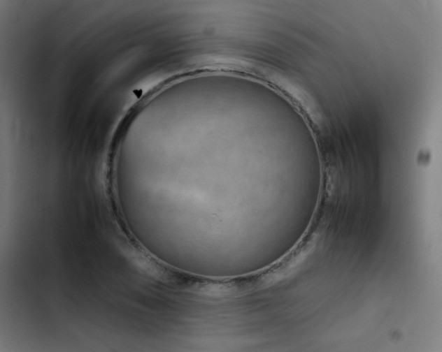 X0000103411074200809121300