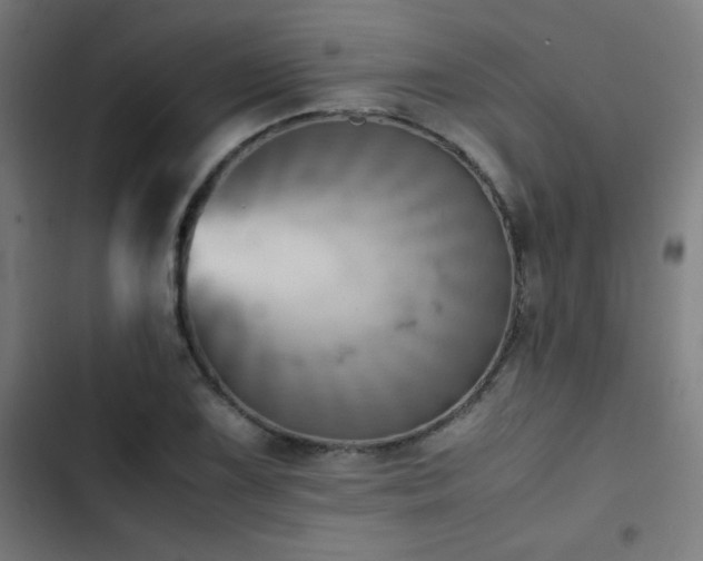 X0000103411075200809121300