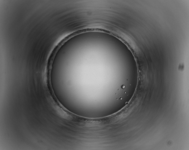 X0000103411076200809121300