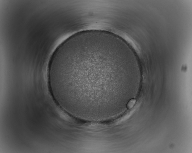 X0000103411077200809121300
