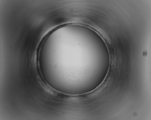 X0000103411078200809121300