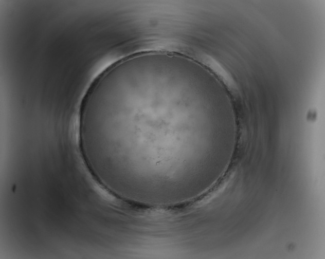 X0000103411079200809121300