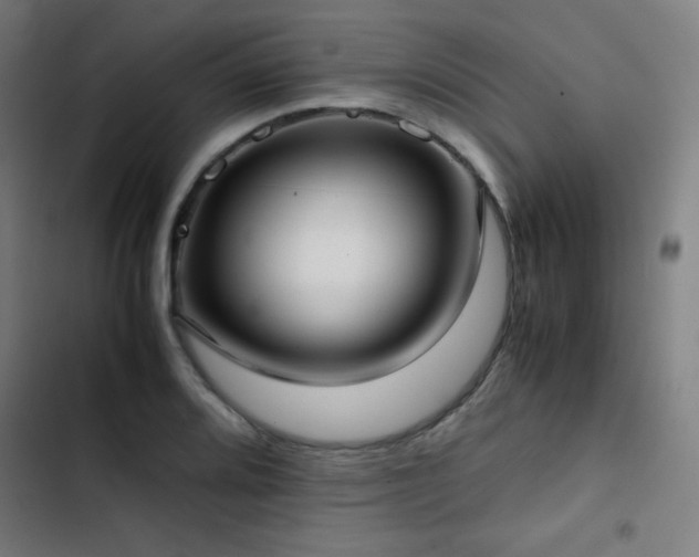 X0000103411080200809121300