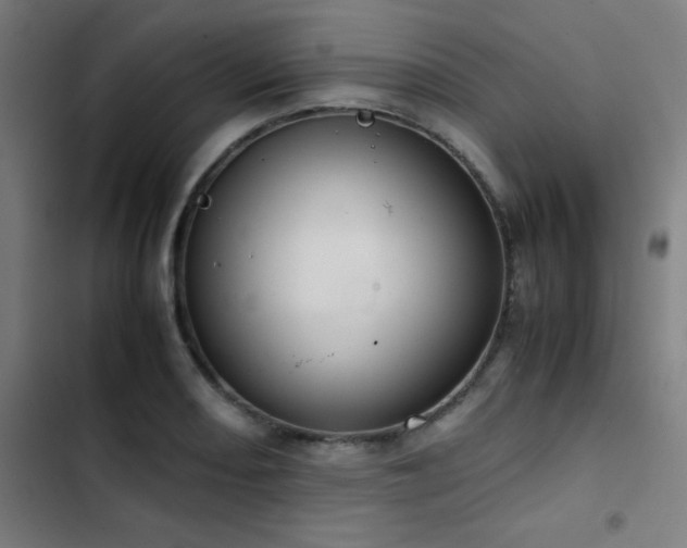 X0000103411082200809121300