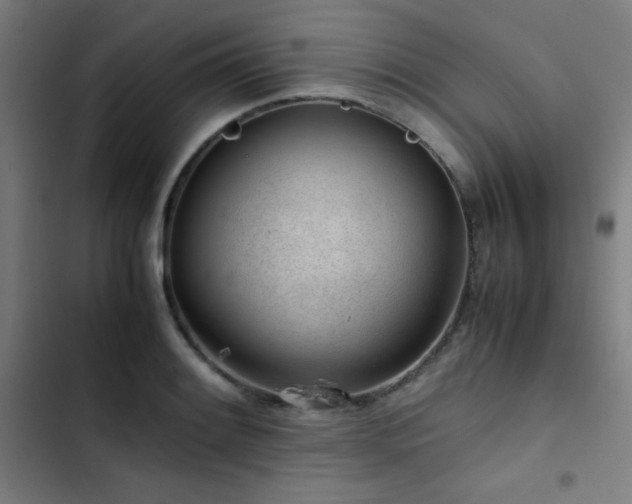 X0000103411084200809121300