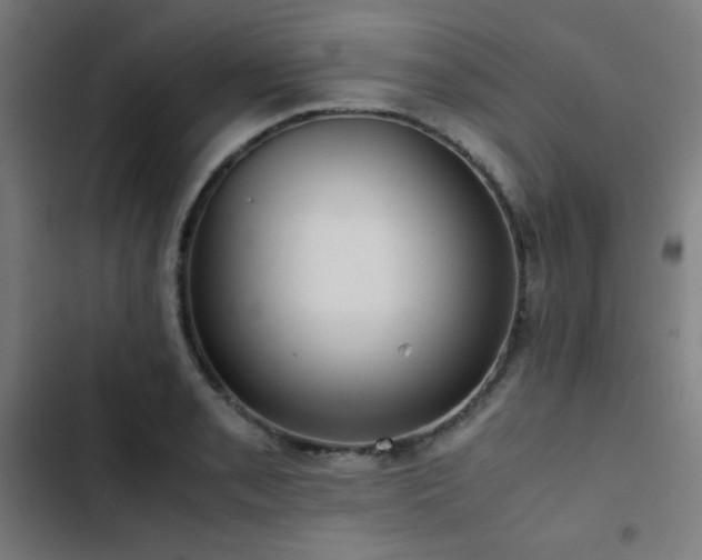 X0000103411085200809121300