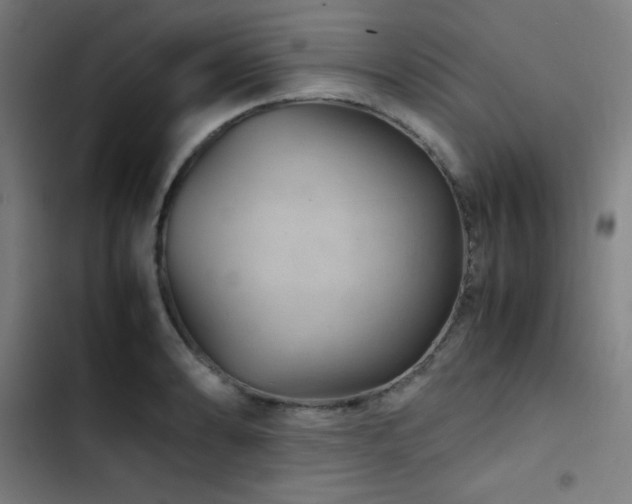 X0000103411086200809121300