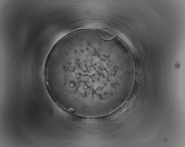 X0000103411087200809121300