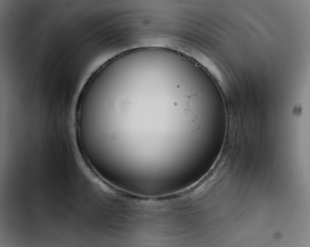 X0000103411088200809121300