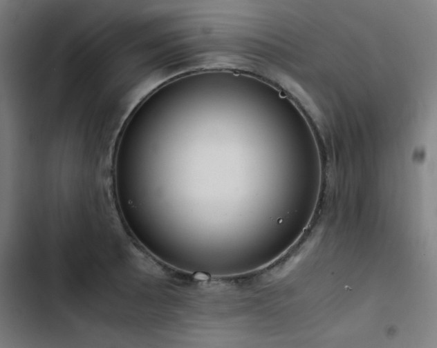 X0000103411089200809121300