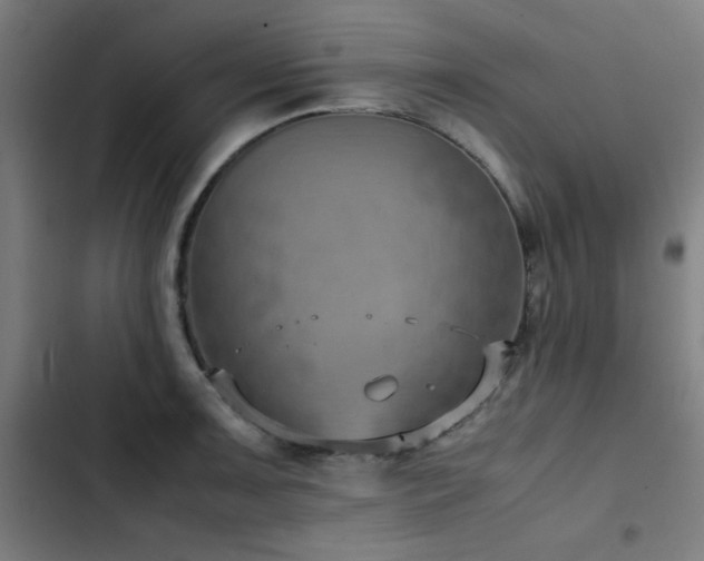 X0000103411091200809121300