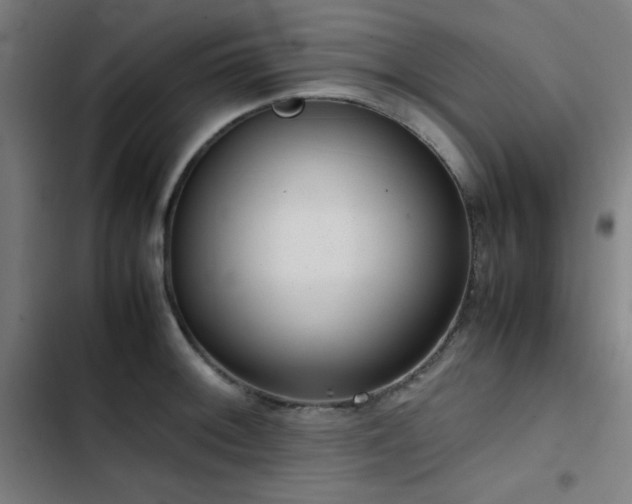 X0000103411092200809121300