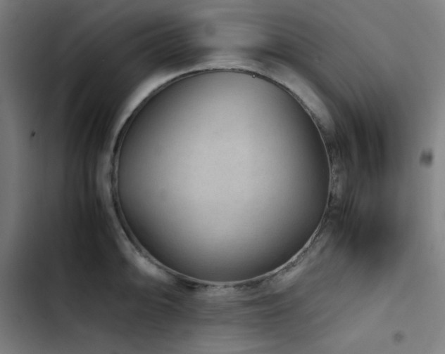 X0000103411094200809121300