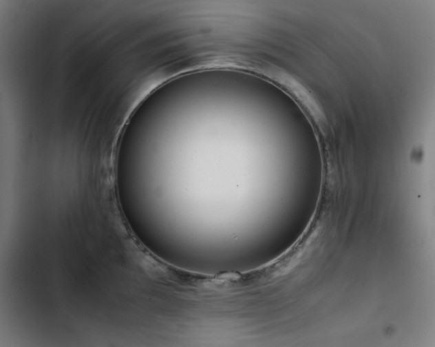 X0000103411097200809121300