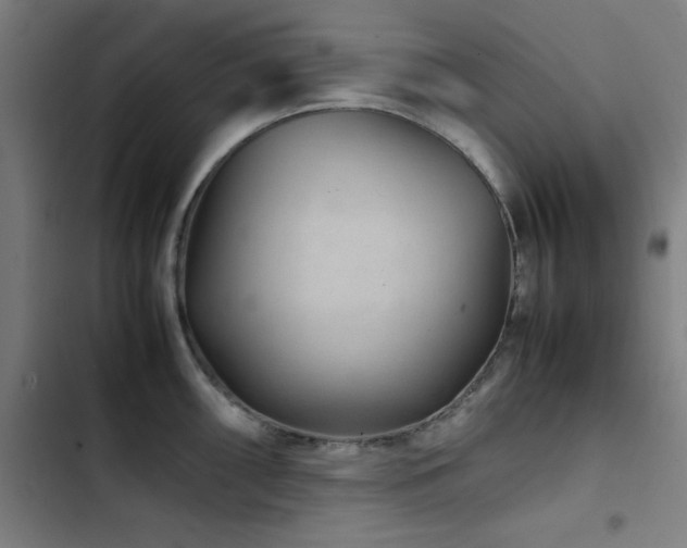 X0000103411098200809121300