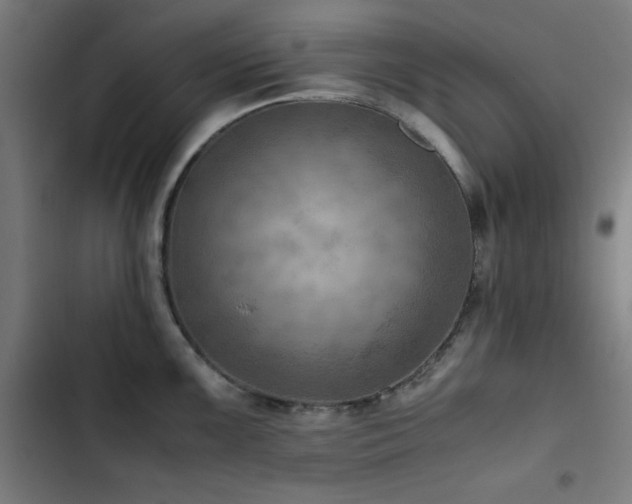 X0000103411099200809121300