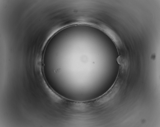 X0000103411100200809121300