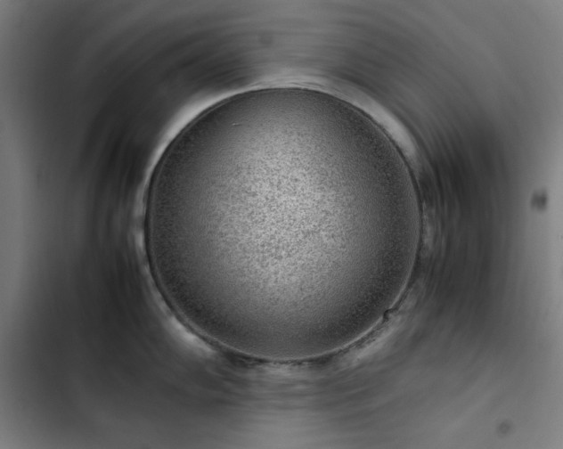 X0000103411102200809121300