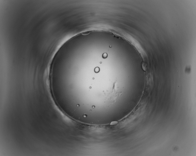 X0000103411103200809121300
