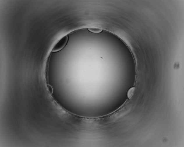 X0000103411104200809121300
