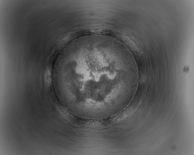 X0000103411106200809121259