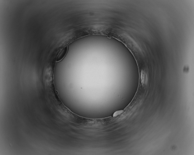 X0000103411107200809121259