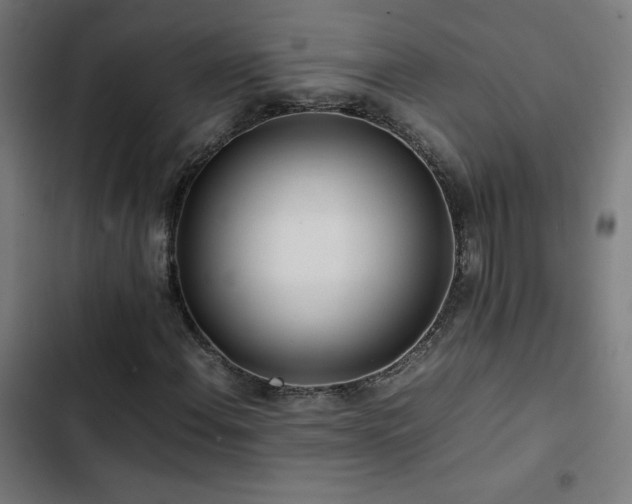X0000103411108200809121259