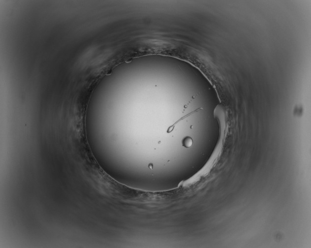 X0000103411109200809121259