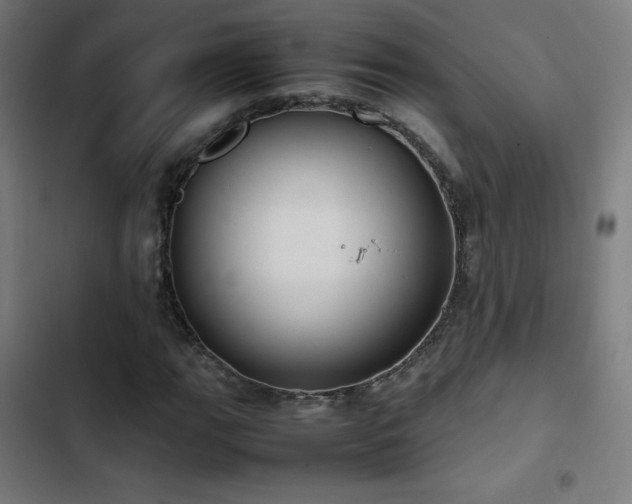 X0000103411111200809121259