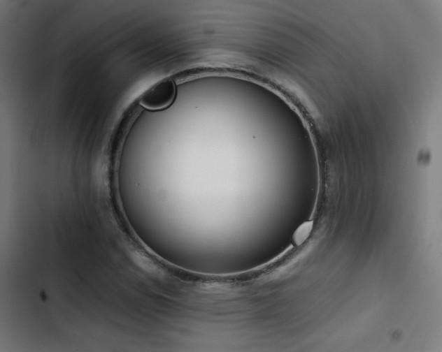X0000103411114200809121259