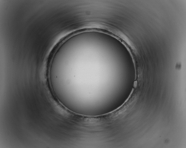 X0000103411116200809121259
