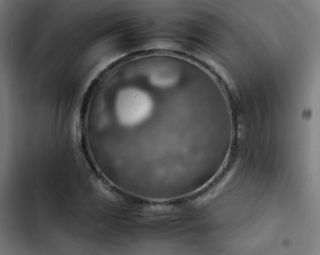 X0000103411117200809121259