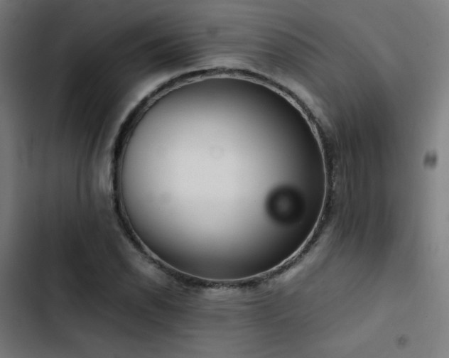X0000103411118200809121259