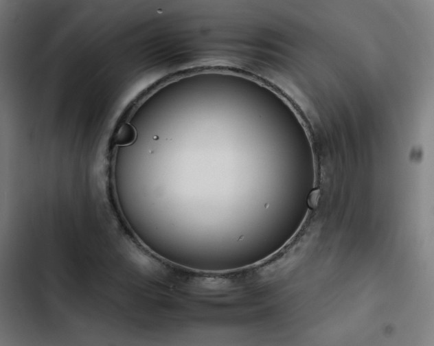 X0000103411119200809121259