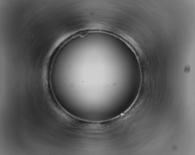 X0000103411120200809121259